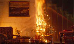 Dass muss nicht sein! Besser vorbeugend mit Fireforce imprägnieren! Gumplmayr Brandschutz Linz